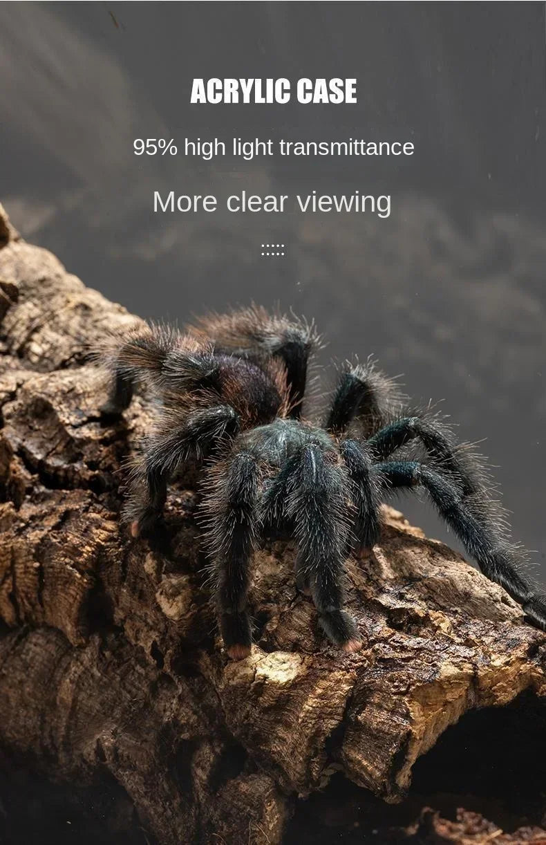 حوض زجاجي أكريليك للزواحف