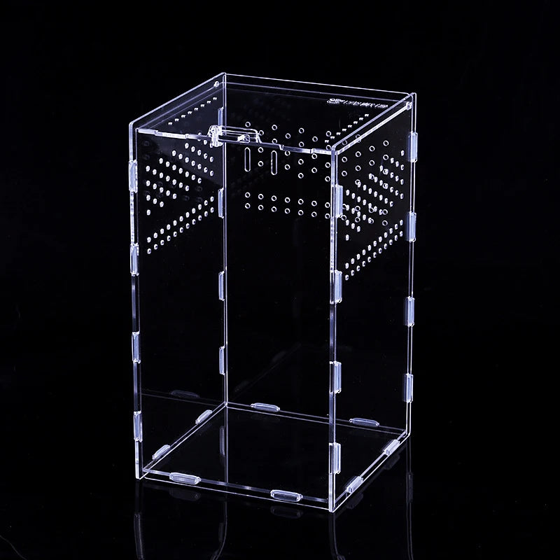 حوض شفاف للعنکبوتيات، السحالي، وتغذية الحشرات