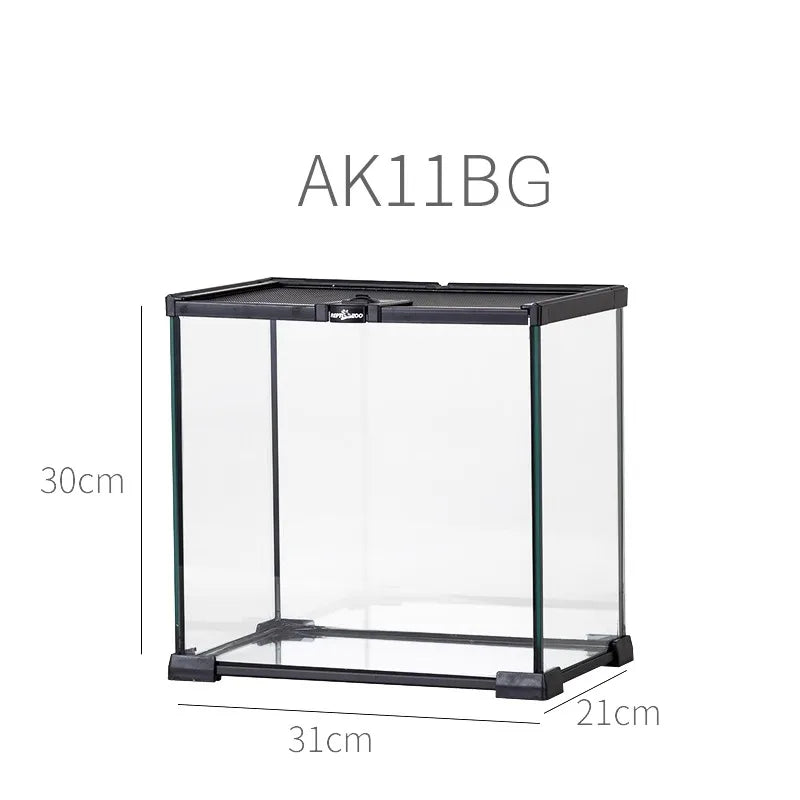 حوض زجاجي غابة مطيرة – بيئة متكاملة للزواحف والبرمائيات