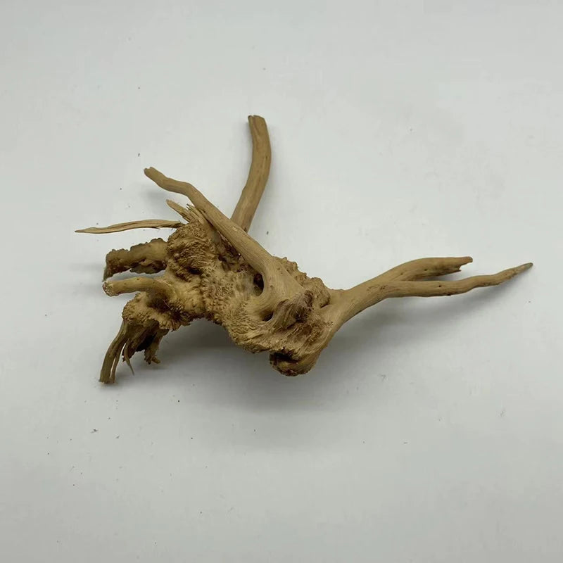 ديكور حوض جذع شجرة طبيعي