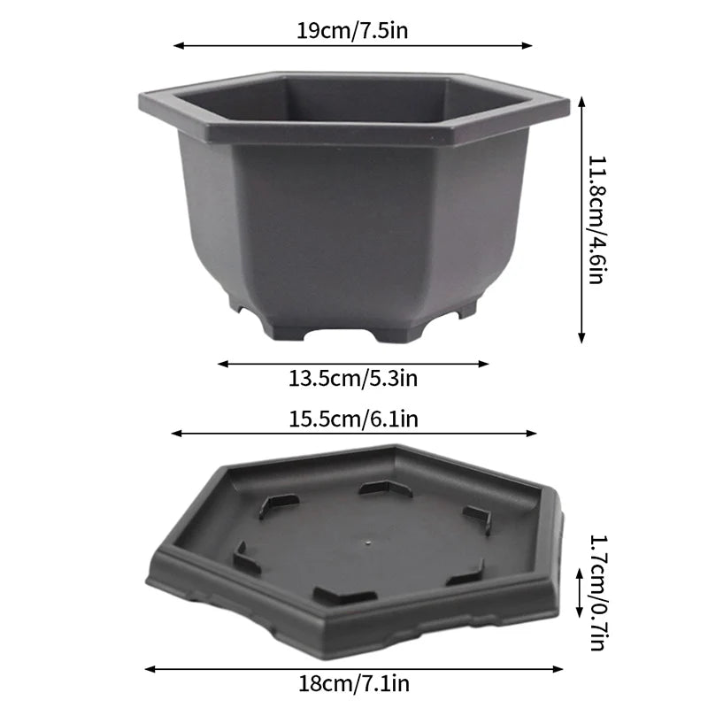 أصيص بلاستيكي مع صينية تصريف