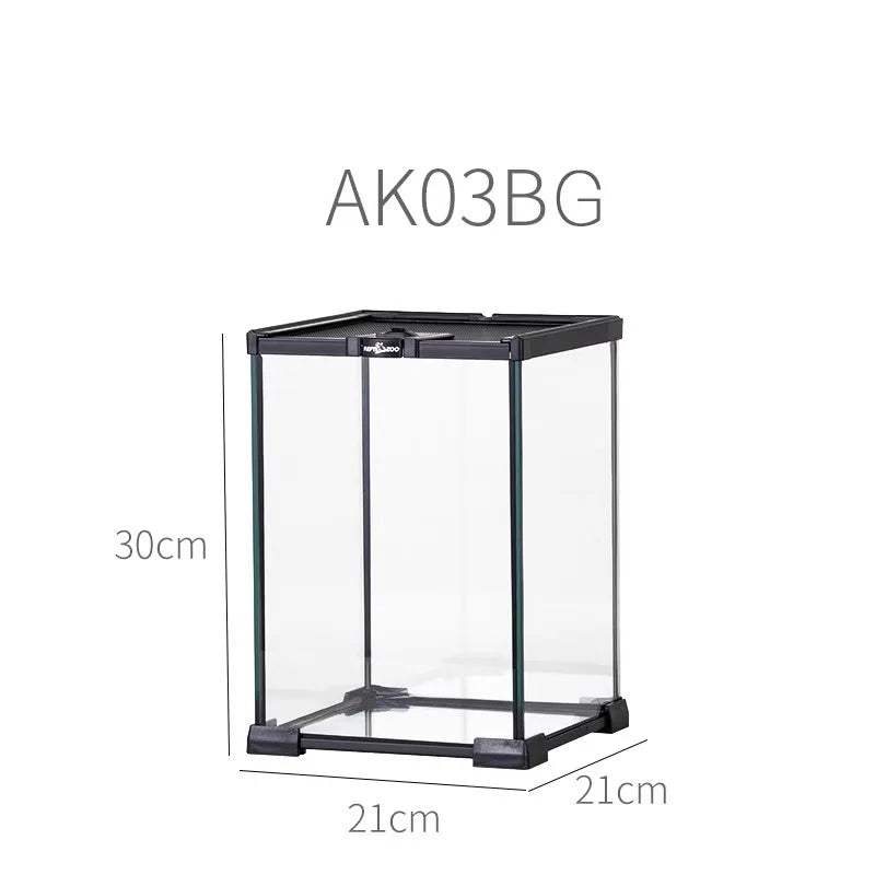 حوض زجاجي غابة مطيرة – بيئة متكاملة للزواحف والبرمائيات