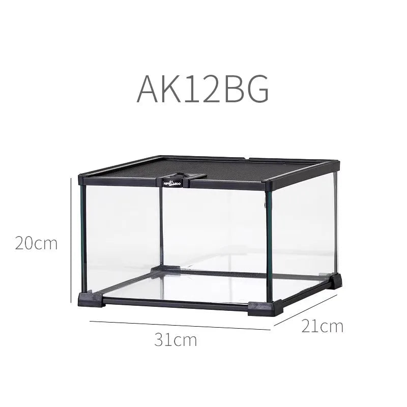 حوض زجاجي غابة مطيرة – بيئة متكاملة للزواحف والبرمائيات