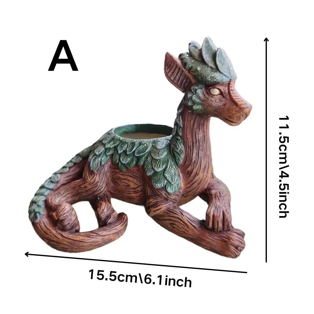 أصيص نباتات التنين