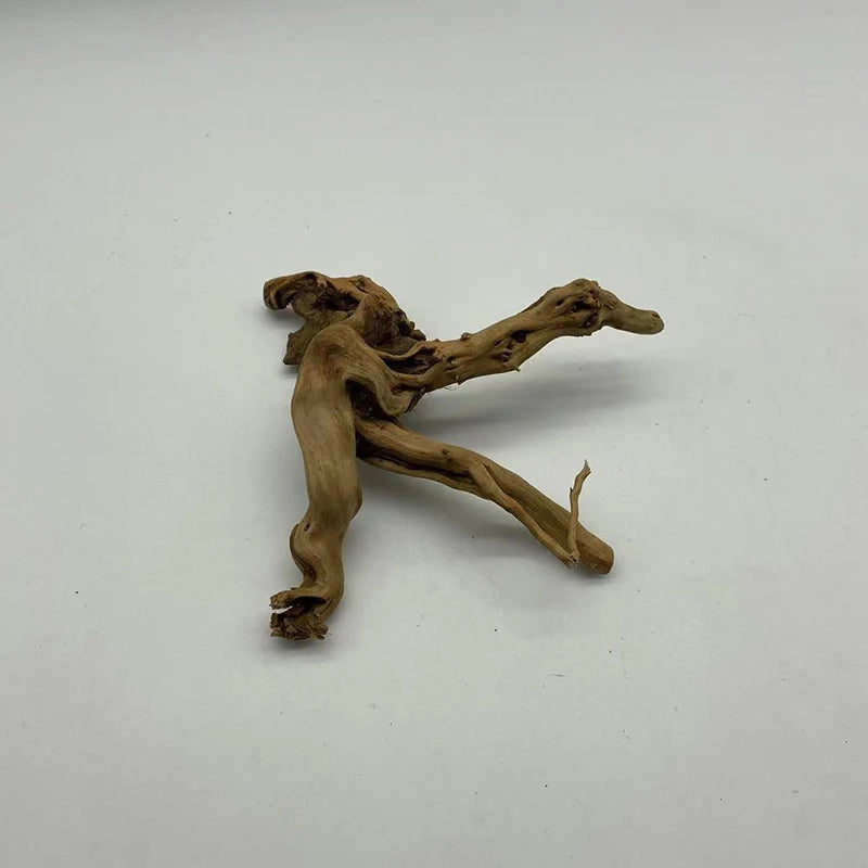 ديكور حوض جذع شجرة طبيعي