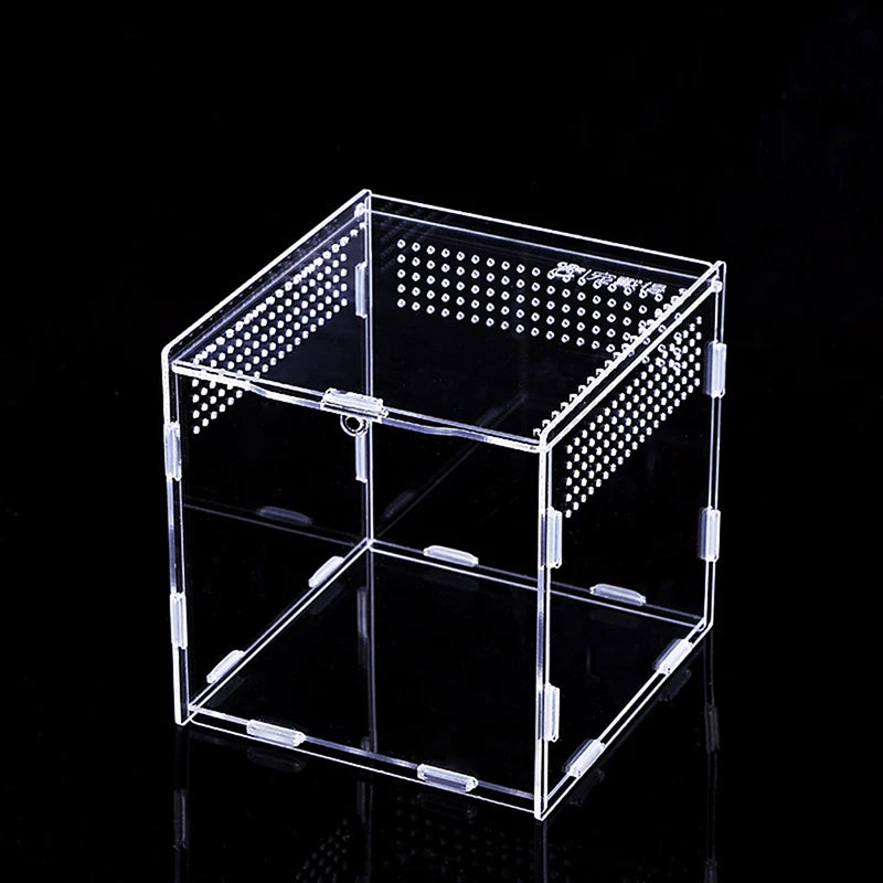 حوض شفاف للعنکبوتيات، السحالي، وتغذية الحشرات