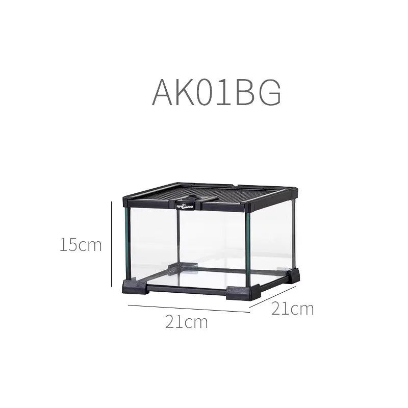 حوض زجاجي غابة مطيرة – بيئة متكاملة للزواحف والبرمائيات