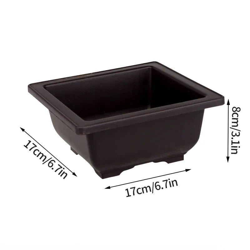 أصيص بلاستيكي مع صينية تصريف