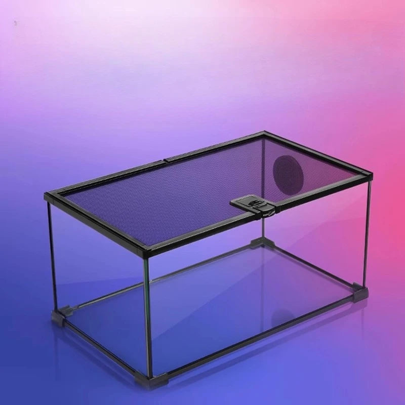 حوض زجاجي غابة مطيرة – بيئة متكاملة للزواحف والبرمائيات