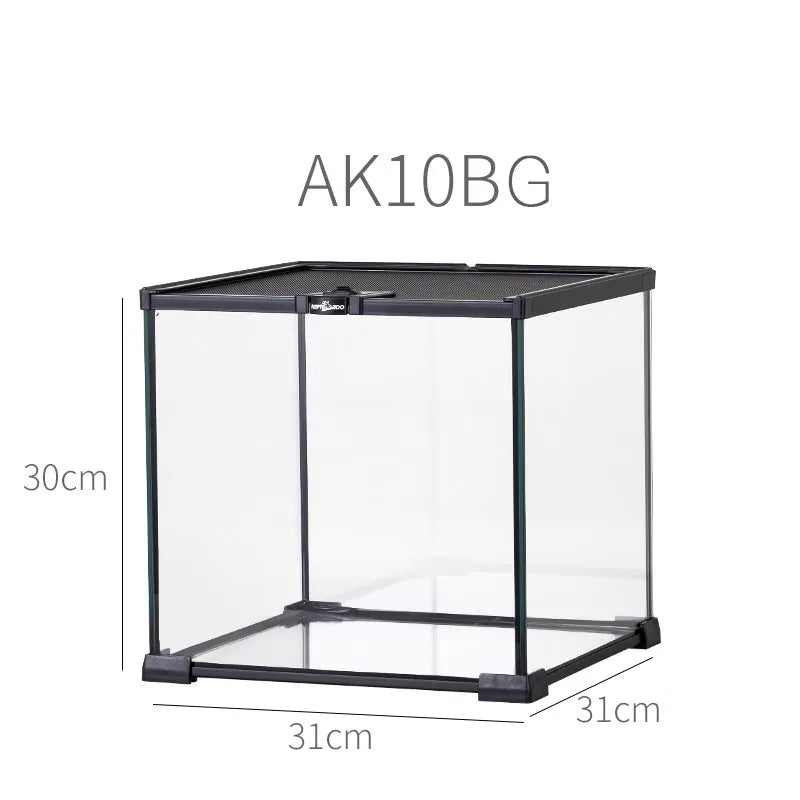 حوض زجاجي غابة مطيرة – بيئة متكاملة للزواحف والبرمائيات