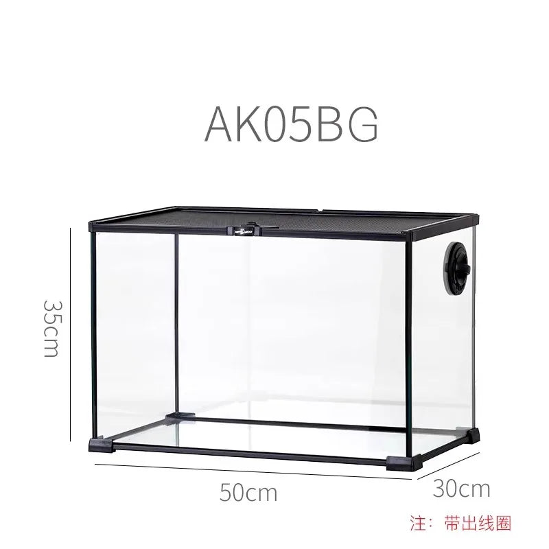 حوض زجاجي غابة مطيرة – بيئة متكاملة للزواحف والبرمائيات