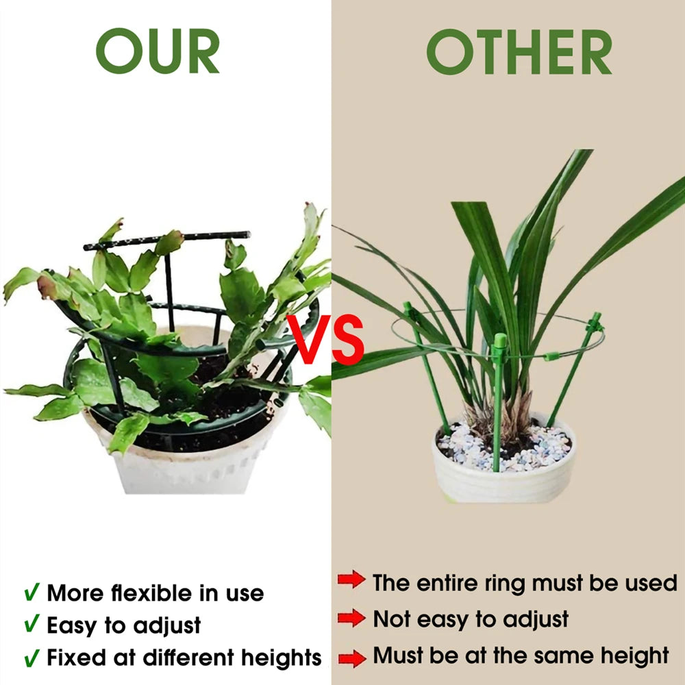 قواعد دعم النباتات