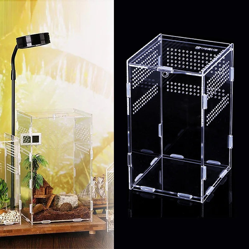 حوض شفاف للعنکبوتيات، السحالي، وتغذية الحشرات