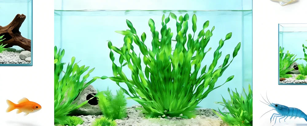 مجموعة 5/10 قطع نباتات مائية صناعية