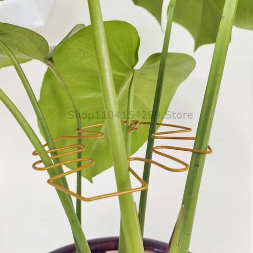 مشابك دعم نباتات معدنية قابلة للتعديل