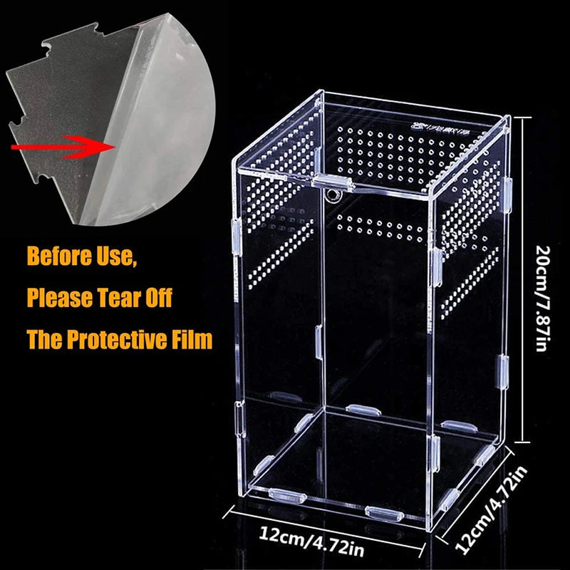 حوض شفاف للعنکبوتيات، السحالي، وتغذية الحشرات