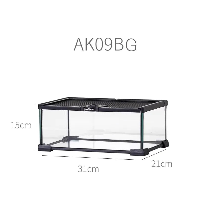 حوض زجاجي غابة مطيرة – بيئة متكاملة للزواحف والبرمائيات