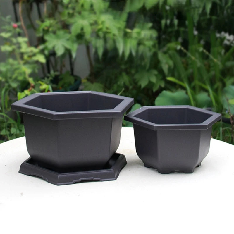 أصيص بلاستيكي مع صينية تصريف