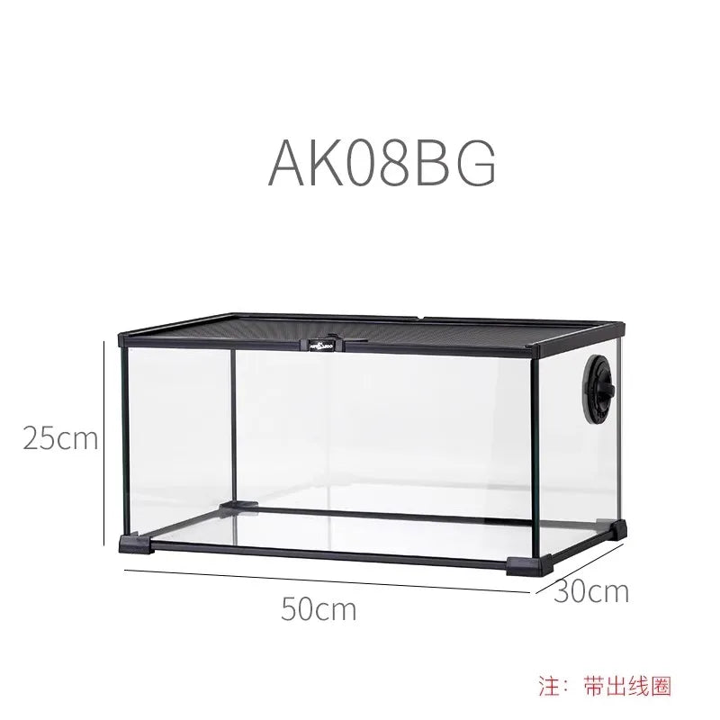 حوض زجاجي غابة مطيرة – بيئة متكاملة للزواحف والبرمائيات