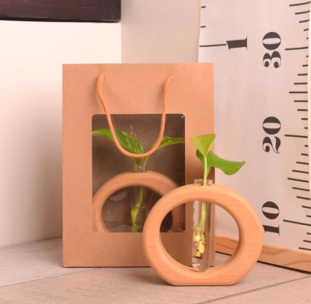 وعاء تجذير خشبي ( بيج) مع نبتة بوتس (هدايا العيد)