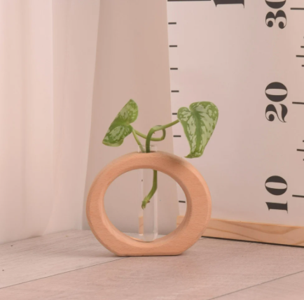 وعاء تجذير خشبي ( بيج) مع نبتة بوتس (هدايا العيد)