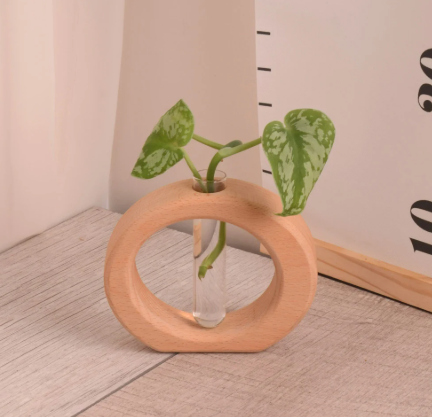 وعاء تجذير خشبي ( بيج) مع نبتة بوتس (هدايا العيد)