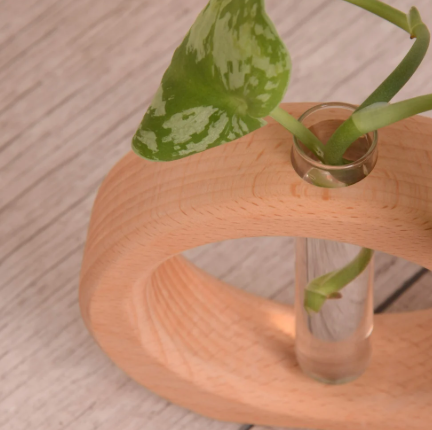 وعاء تجذير خشبي ( بيج) مع نبتة بوتس (هدايا العيد)