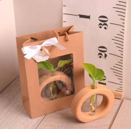 وعاء تجذير خشبي ( بيج) مع نبتة بوتس (هدايا العيد)