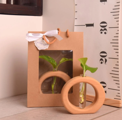 وعاء تجذير خشبي ( بيج) مع نبتة بوتس (هدايا العيد)