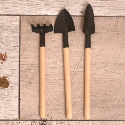 أدوات البستنة الداخلية (3قطع)