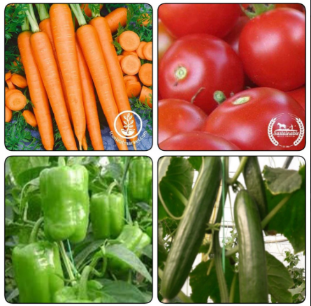 مجموعة بذور الزهور والخضروات والورقيات 