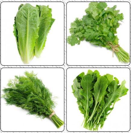 مجموعة بذور الزهور والخضروات والورقيات 