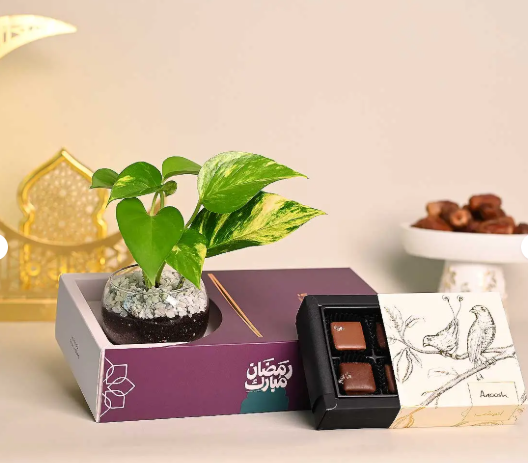 هدية نبتة البوتس مع تشوكلت أنوش ثيم رمضان