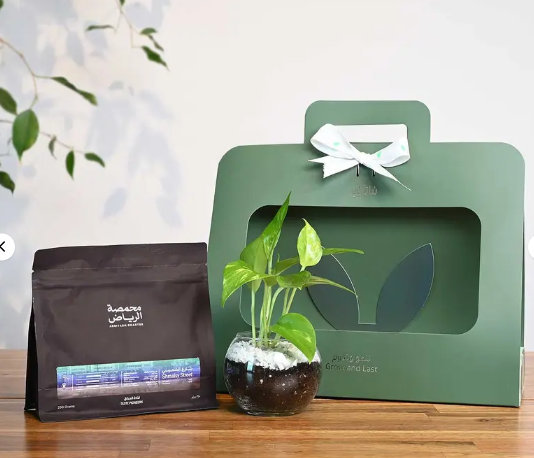 Gift Pothos plant green with alshamiseeh coffee