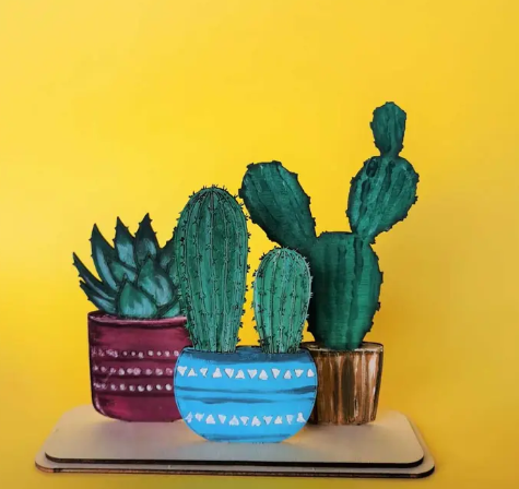 مجموعة الصبارات الخشبية للأطفال