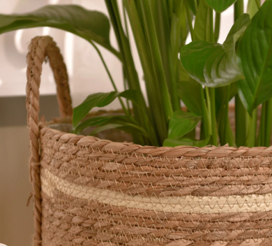 سلة حوض للنباتات