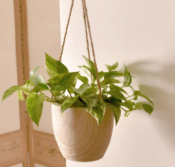 حوض خشبي معلق